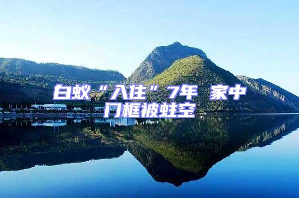 白蟻“入住”7年 家中門框被蛀空