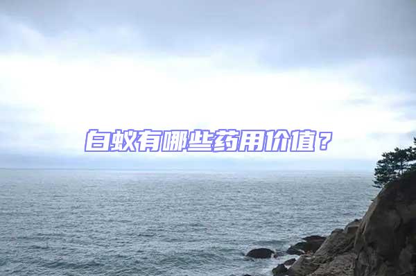 白蟻有哪些藥用價值？