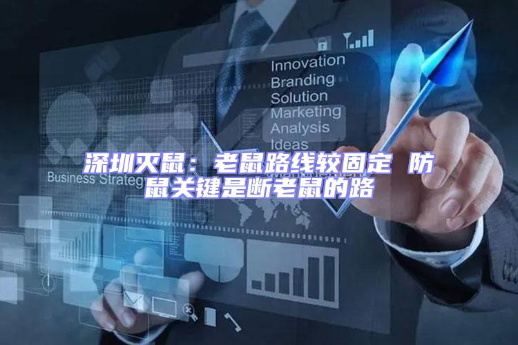 深圳滅鼠：老鼠路線較固定 防鼠關鍵是斷老鼠的路