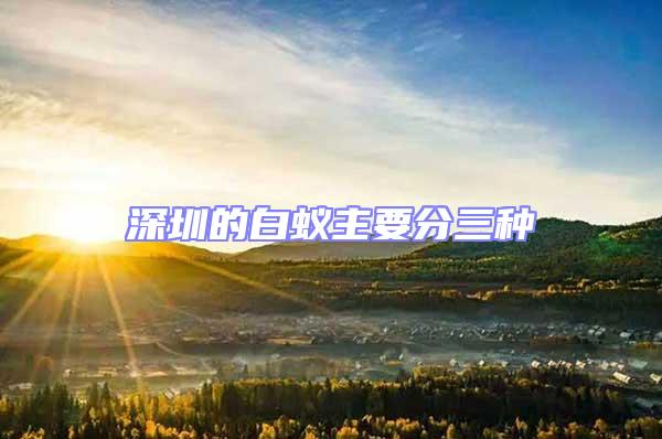 深圳的白蟻主要分三種