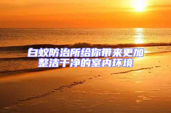 白蟻防治所給你帶來(lái)更加整潔干凈的室內(nèi)環(huán)境
