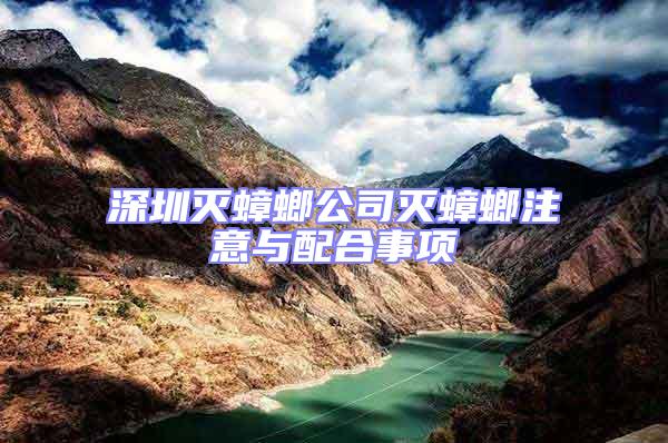 深圳滅蟑螂公司滅蟑螂注意與配合事項
