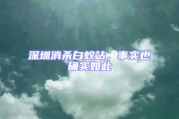 深圳消殺白蟻站，事實也確實如此