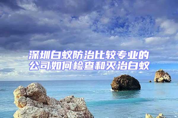 深圳白蟻防治比較專業的公司如何檢查和滅治白蟻