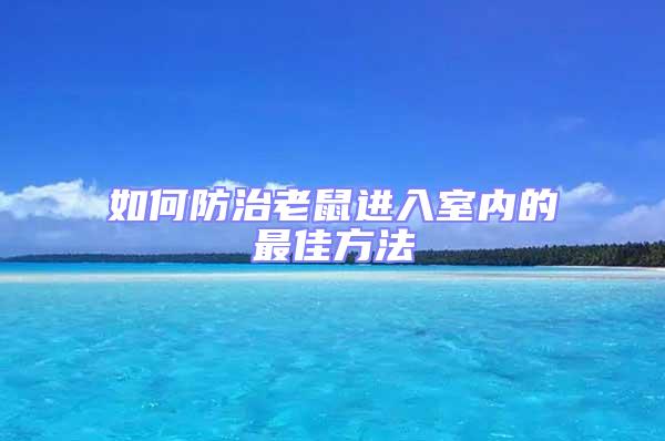 如何防治老鼠進入室內的最佳方法
