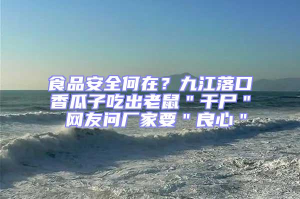 食品安全何在？九江落口香瓜子吃出老鼠＂干尸＂ 網友問廠家要＂良心＂
