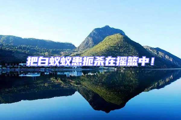 把白蟻蟻患扼殺在搖籃中！