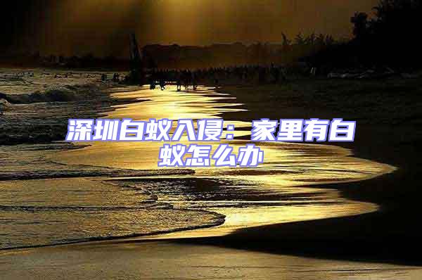 深圳白蟻入侵：家里有白蟻怎么辦