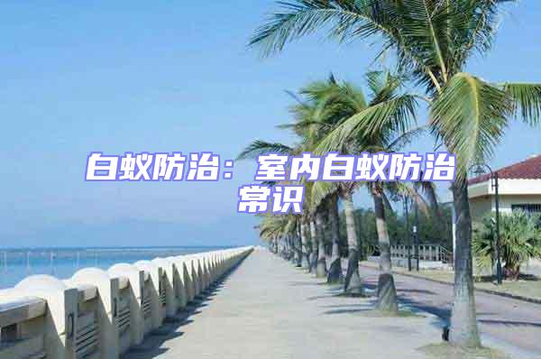 白蟻防治：室內白蟻防治常識