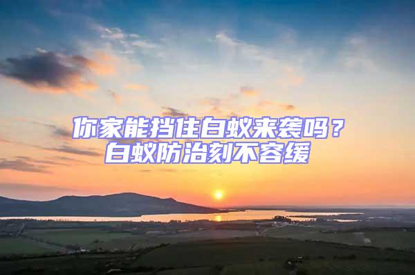你家能擋住白蟻來(lái)襲嗎？白蟻防治刻不容緩