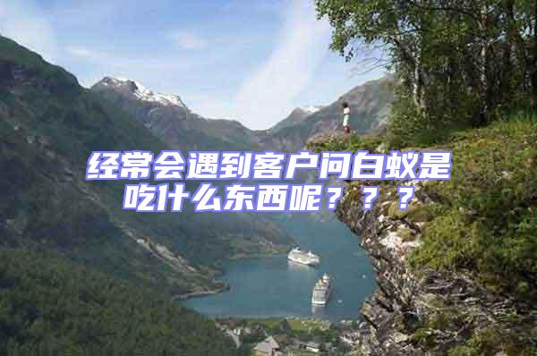 經常會遇到客戶問白蟻是吃什么東西呢？？？