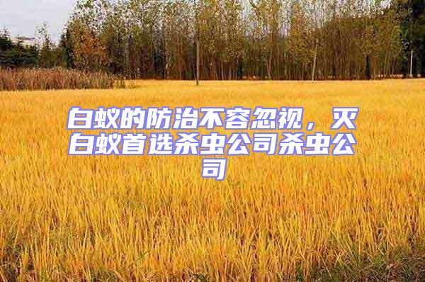 白蟻的防治不容忽視，滅白蟻首選殺蟲公司殺蟲公司