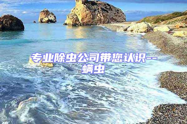 專業除蟲公司帶您認識--螨蟲