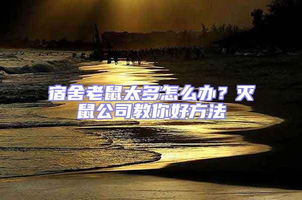 宿舍老鼠太多怎么辦？滅鼠公司教你好方法