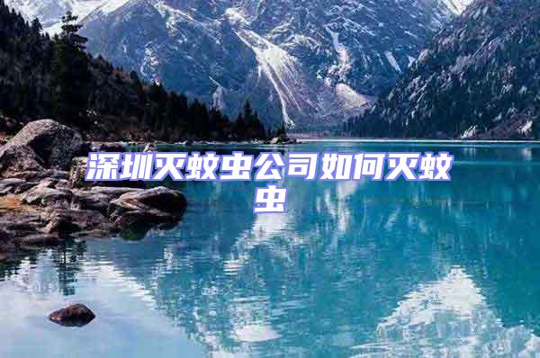 深圳滅蚊蟲公司如何滅蚊蟲
