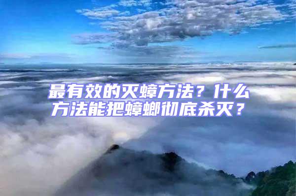 最有效的滅蟑方法？什么方法能把蟑螂徹底殺滅？