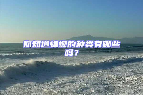 你知道蟑螂的種類有哪些嗎？