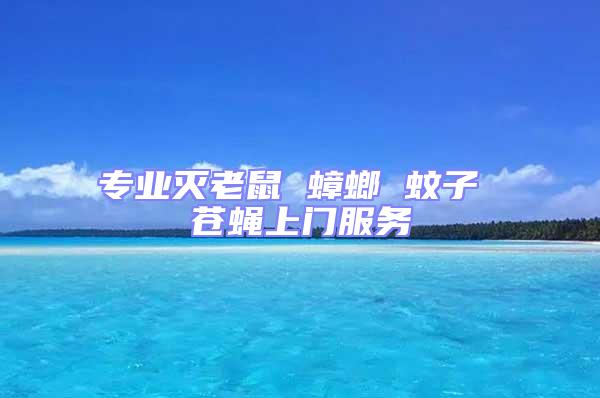 專業滅老鼠 蟑螂 蚊子 蒼蠅上門服務