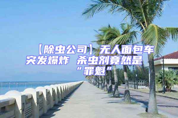【除蟲公司】無人面包車突發爆炸 殺蟲劑竟然是“罪魁”
