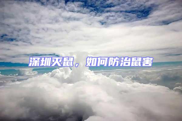 深圳滅鼠，如何防治鼠害