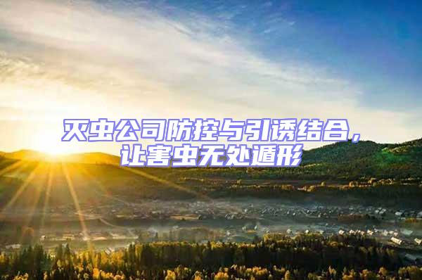 滅蟲公司防控與引誘結(jié)合，讓害蟲無處遁形