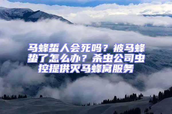 馬蜂蜇人會死嗎？被馬蜂蟄了怎么辦？殺蟲公司蟲控提供滅馬蜂窩服務