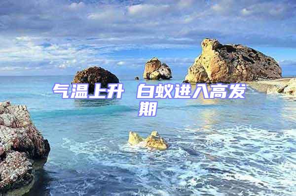 氣溫上升 白蟻進(jìn)入高發(fā)期