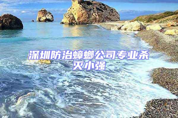 深圳防治蟑螂公司專業殺滅小強