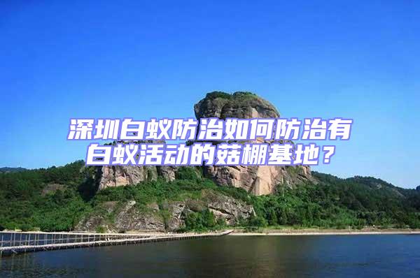 深圳白蟻防治如何防治有白蟻活動的菇棚基地？