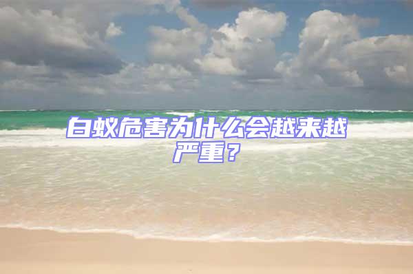 白蟻危害為什么會越來越嚴(yán)重？