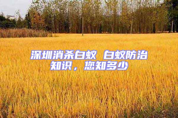 深圳消殺白蟻 白蟻防治知識，您知多少