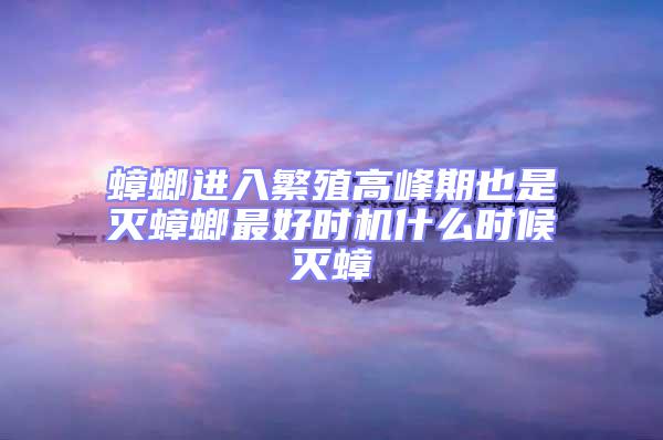 蟑螂進入繁殖高峰期也是滅蟑螂最好時機什么時候滅蟑