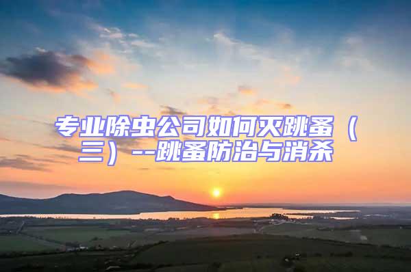 專業除蟲公司如何滅跳蚤（三）--跳蚤防治與消殺