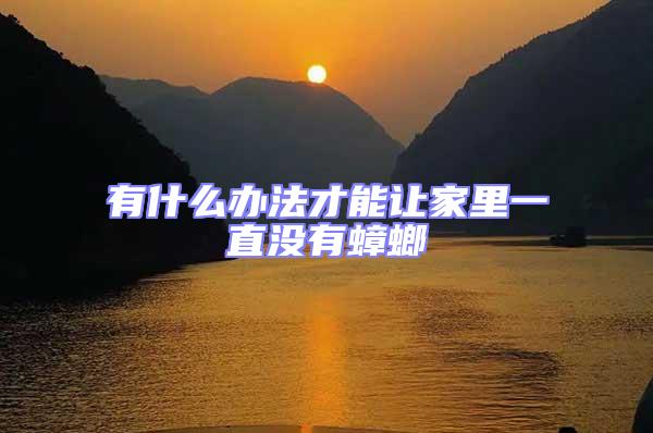有什么辦法才能讓家里一直沒有蟑螂