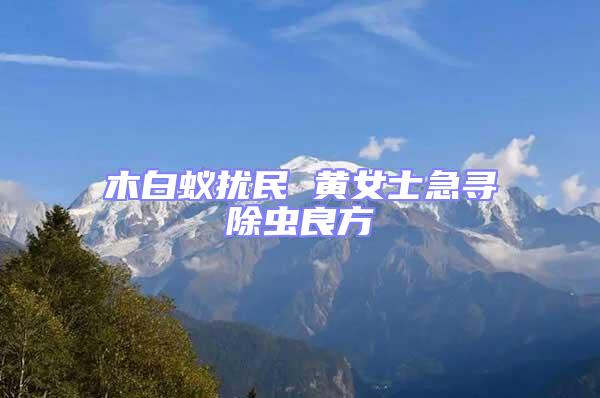 木白蟻擾民 黃女士急尋除蟲良方