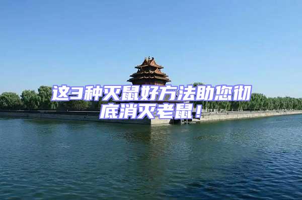 這3種滅鼠好方法助您徹底消滅老鼠！