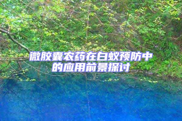 微膠囊農藥在白蟻預防中的應用前景探討