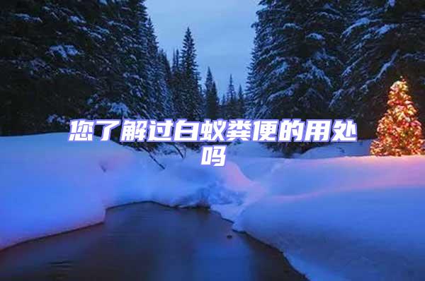 您了解過白蟻糞便的用處嗎