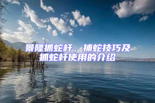 景隆抓蛇桿，捕蛇技巧及抓蛇桿使用的介紹