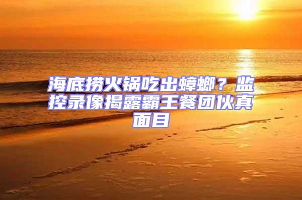 海底撈火鍋吃出蟑螂？監控錄像揭露霸王餐團伙真面目