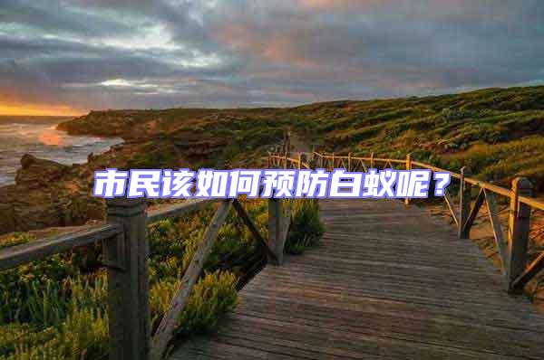 市民該如何預防白蟻呢？