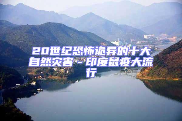 20世紀恐怖詭異的十大自然災害－印度鼠疫大流行