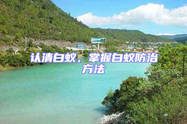 認清白蟻，掌握白蟻防治方法