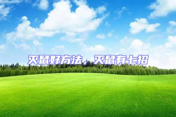 滅鼠好方法，滅鼠有七招