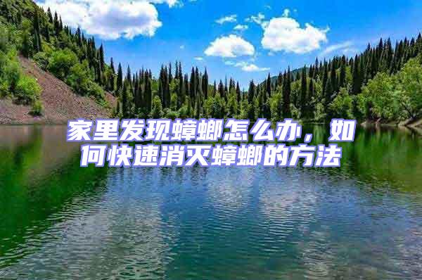 家里發現蟑螂怎么辦，如何快速消滅蟑螂的方法
