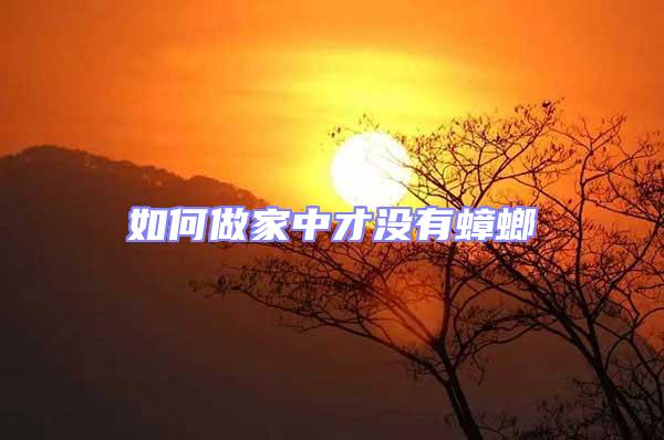 如何做家中才沒有蟑螂