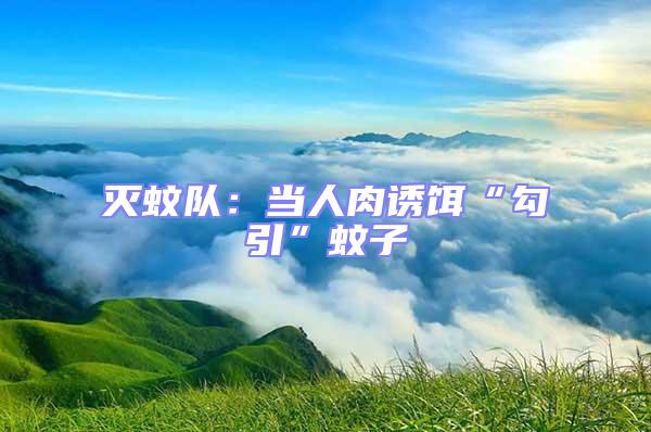 滅蚊隊：當人肉誘餌“勾引”蚊子
