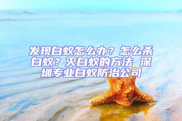 發現白蟻怎么辦？怎么殺白蟻？滅白蟻的方法 深圳專業白蟻防治公司
