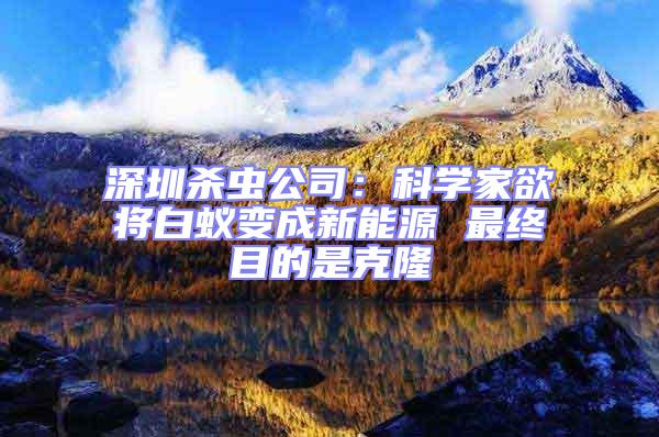 深圳殺蟲公司：科學家欲將白蟻變成新能源 最終目的是克隆