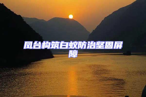 鳳臺構筑白蟻防治堅固屏障
